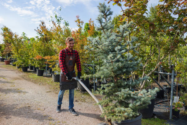 Best Hazardous Tree Removal  in Chaska, MN